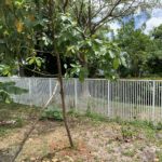 davie-33314-aluminum-fence-repair-picket-fence
