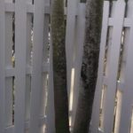 fence-companies-near-me-shadow-box-fence-fencing-contractors-fence-company-wood-fence-installation-weston-33327-fence-installation-near-me-fence-contractors-near-me